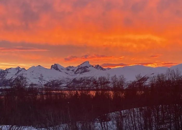 Northern Light-Midnight Sun Villa In Tromso