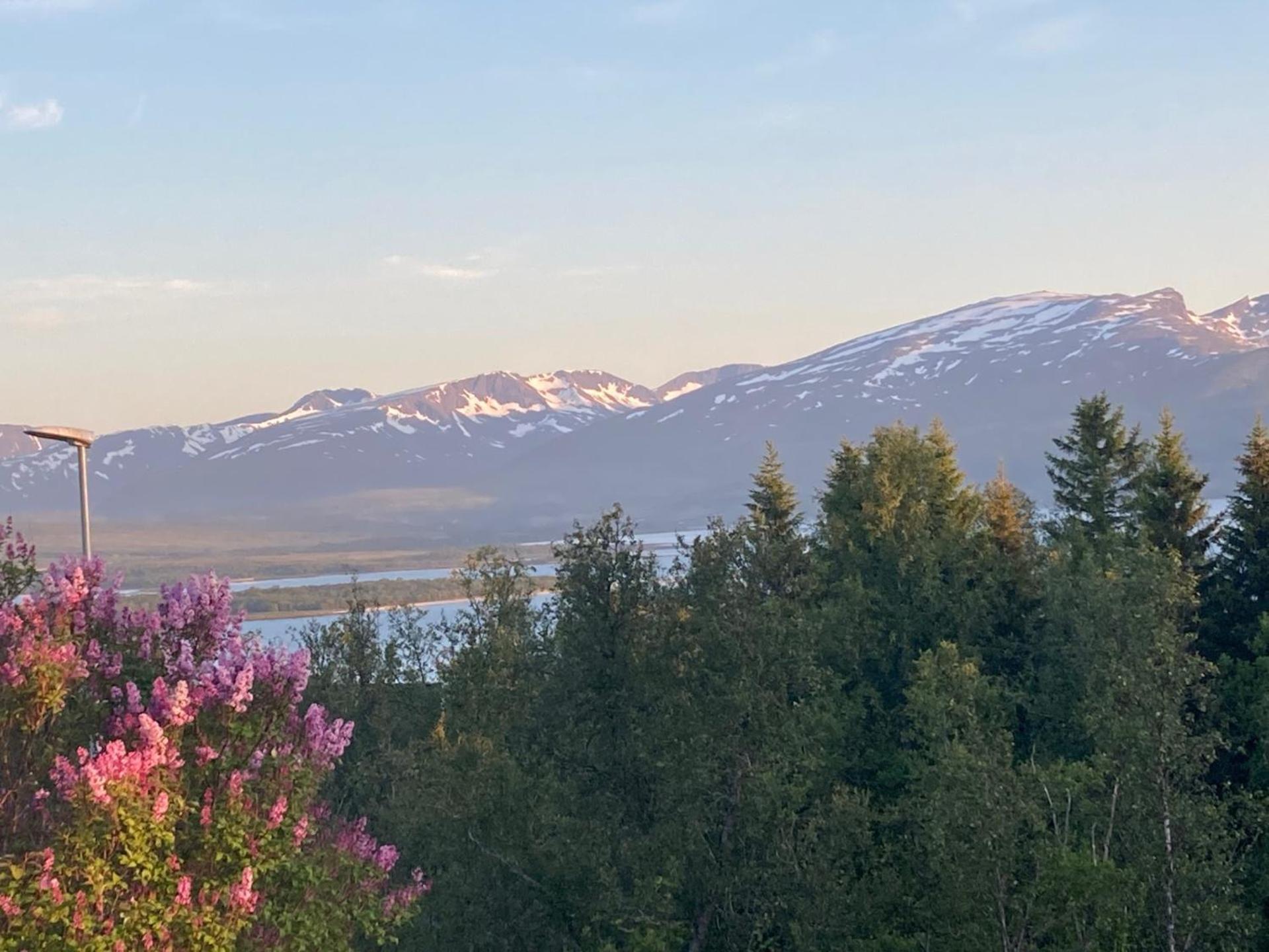 Northern Light-midnight Sun In Feriehus *
