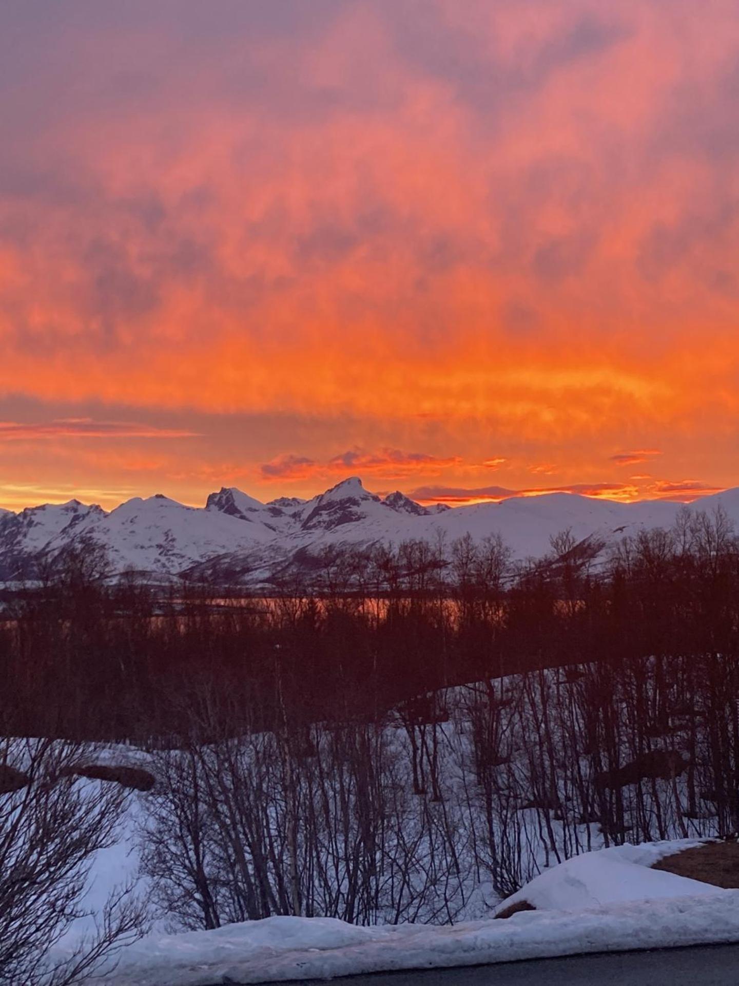 Northern Light-midnight Sun In *